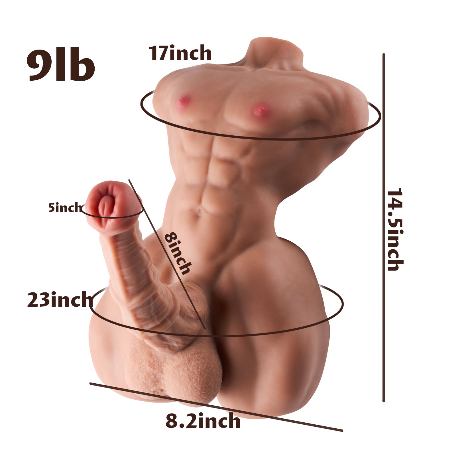 Arthur: Torso Männer-Sexpuppe Mit Pferde-Dildo Universelles Sexspielzeug für Männer & Frauen
